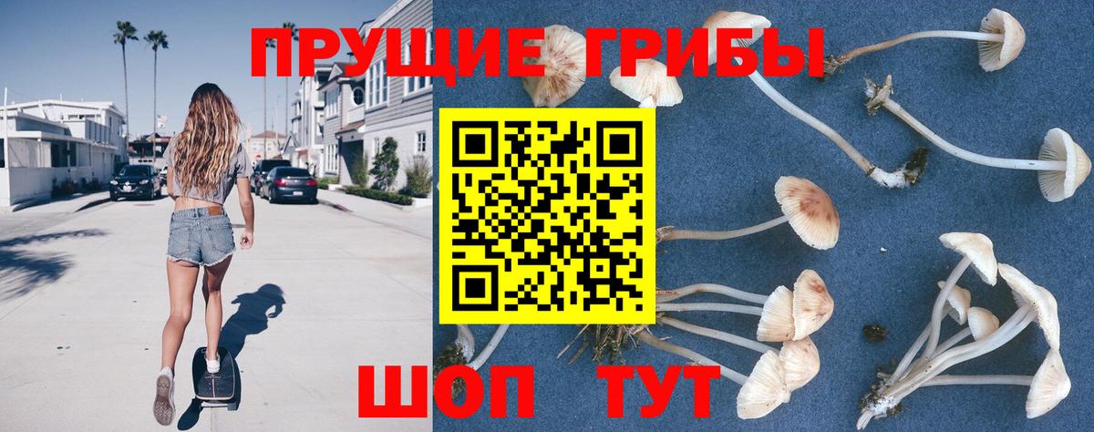 как найти наркотики  Вход с VPN  Усть-Кут  Галлюциногенные грибы прущие грибы  Галлюциногенные грибы Magic Shrooms 